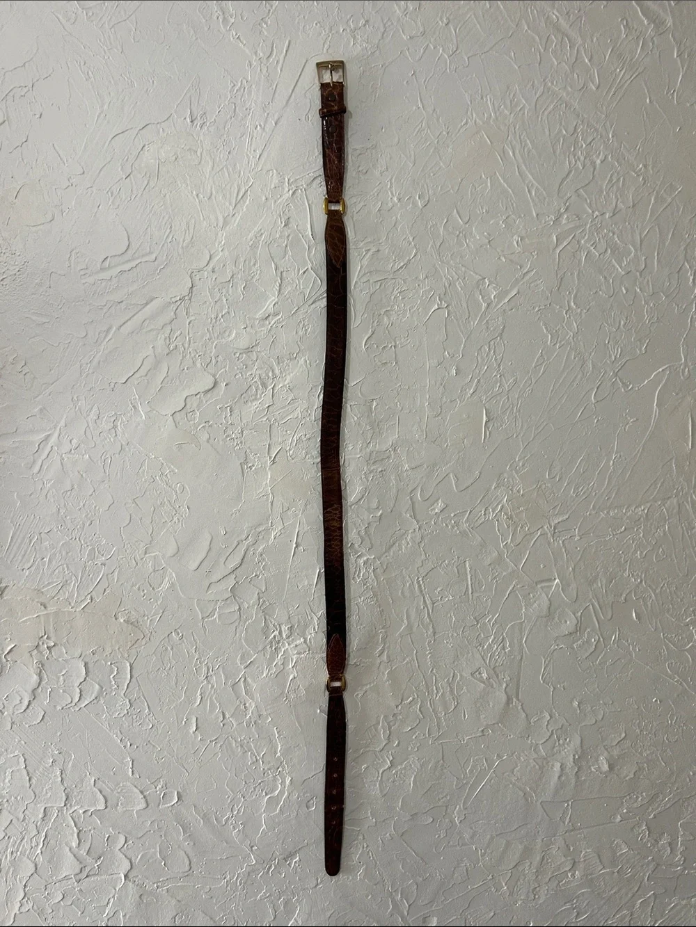 Brown Leather Imported Sea Turtle Belt